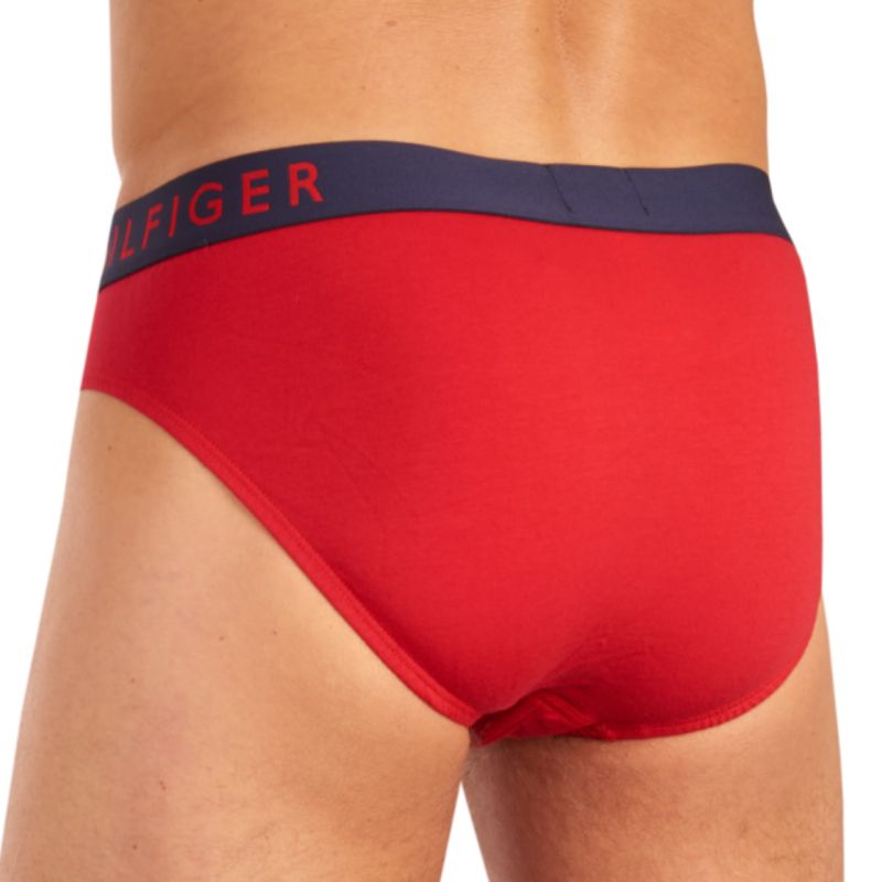 Tommy Hilfiger Brief M panties UM0UM01227