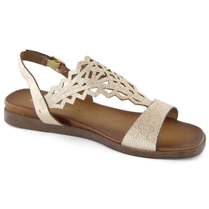 wise_SK445*41||wise_SK445*39||wise_SK445*40||wise_SK445*36||wise_SK445*37||wise_SK445*38