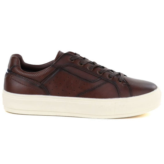 Men's brown shoes Vanhorn 18301