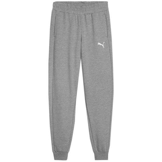 Puma Team Goal Jr pants 658601 33